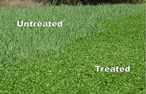 Whitetail Institute Max Selective Grass Control Herbicide