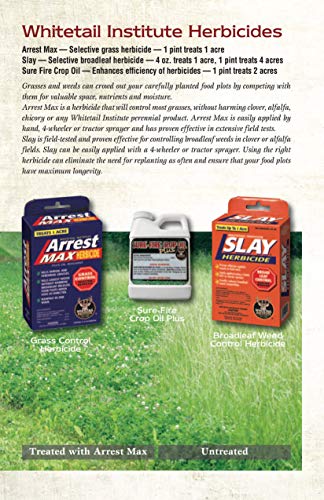 Whitetail Institute Max Selective Grass Control Herbicide