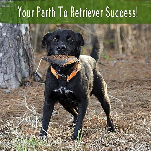 AUSCAMOTEK Dove Dummy for Hunting Dog Training