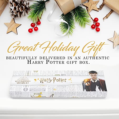 Harry Potter Jewelry Dish Set - 3 Pieces