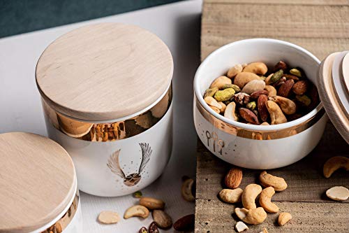 Harry Potter Quidditch Ceramic Storage Jars 3-Pack