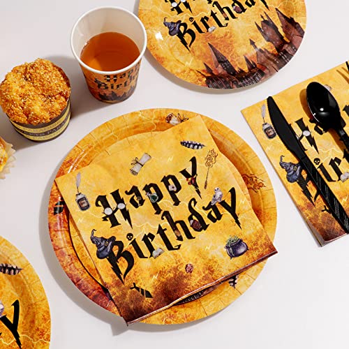 Wizard Birthday Party Supplies, Decor Set for 25