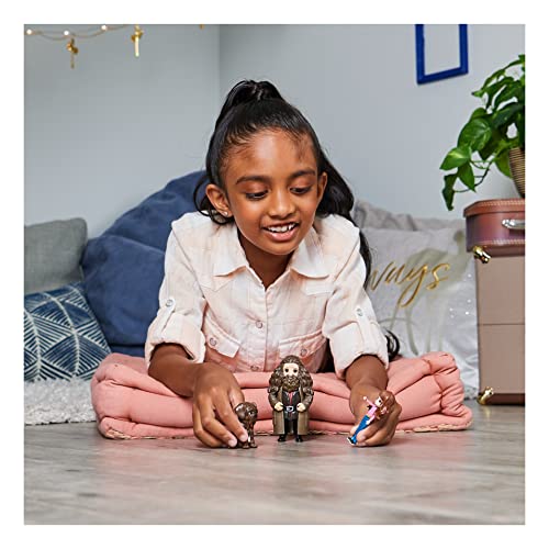 Harry Potter Magical Minis Friendship Set with Creature