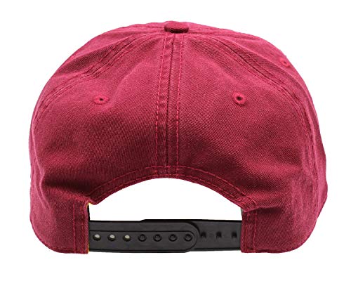 Gryffindor Snapback Hat: Harry Potter House Crest