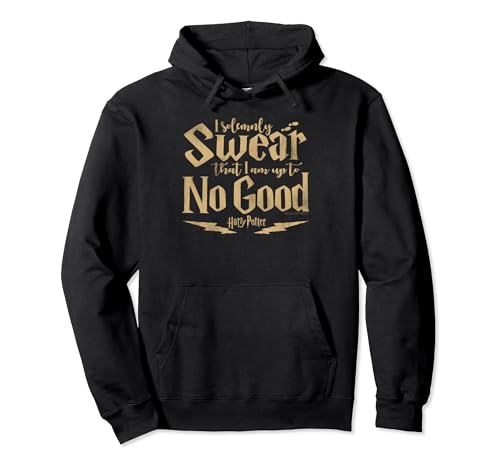 Harry Potter Up To No Good Hoodie