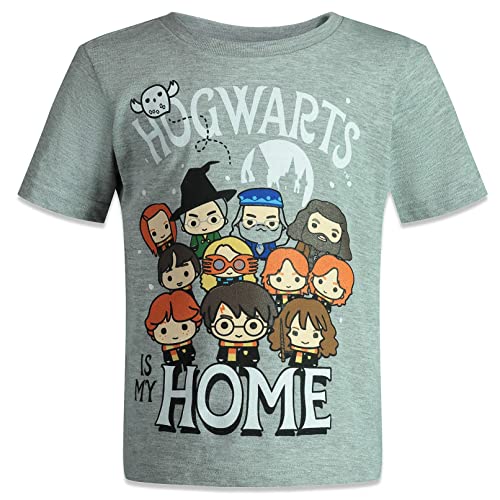 Harry Potter Boys 3-Pack T-Shirts Blue/Grey/Red 18-20