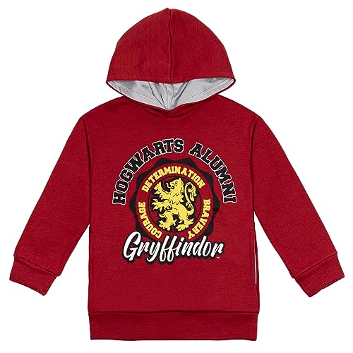Gryffindor Hoodie for Little Boys - Size 6