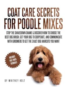 Poodle Mix Grooming Guide: Perfect Brushes & Tips