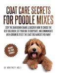 Poodle Mix Grooming Guide: Perfect Brushes & Tips