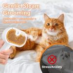 3-in-1 Steam Brush for Grooming Dogs and Cats