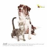 Stainless Steel Flea Comb Set for Pets