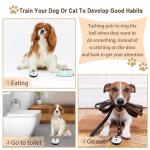Dog Doorbell Training Set for Easy Potty Trips