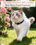 Pet GPS Tracker for Dogs and Cats - No Fees