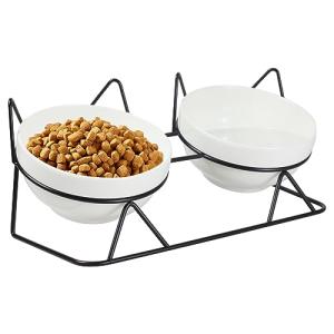 Tilted Elevated Cat Bowls for Food and Water