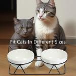 Tilted Elevated Cat Bowls for Food and Water