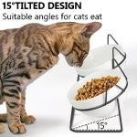Tilted Elevated Cat Bowls for Food and Water