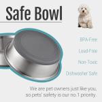 Nonslip Stainless Steel Dog Bowls, 2 Pack