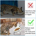 Tilted Elevated Cat Bowls for Food and Water