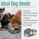 Nonslip Stainless Steel Dog Bowls, 2 Pack