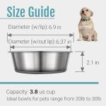 Nonslip Stainless Steel Dog Bowls, 2 Pack