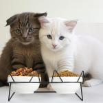 Tilted Elevated Cat Bowls for Food and Water