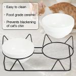 Tilted Elevated Cat Bowls for Food and Water