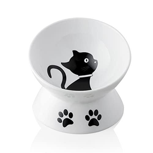 Elevated Ceramic Cat Bowls for Food and Water