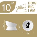 Elevated Ceramic Cat Bowls for Food and Water