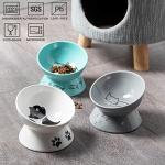 Elevated Ceramic Cat Bowls for Food and Water