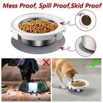 No Spill Pet Food and Water Bowl Set