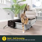 Self-Cleaning Smart Cat Litter Box with Filters