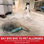 Pet Hair Remover for Deep Cleaning - Green & Grey