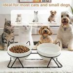 Tilted Elevated Cat Bowls for Food and Water