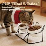 Tilted Elevated Cat Bowls for Food and Water
