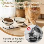 Tilted Elevated Cat Bowls for Food and Water