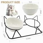 Tilted Elevated Cat Bowls for Food and Water
