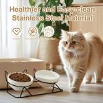 Tilted Elevated Cat Bowls for Food and Water
