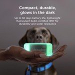 Petcube GPS Dog Tracker with Escape Alerts