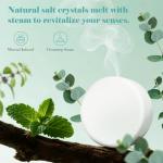 Aromatherapy Shower Steamers - Relaxing Gift Set