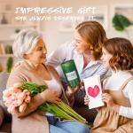 Set of 8 Pure Essential Oil Shower Bombs