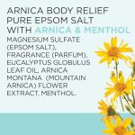 Dr Teal's Arnica Epsom Salt Soak, 3 lbs