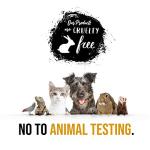 Calming Spa Gift Basket with Relaxing Bath Bombs