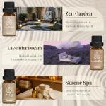 Zen Essential Oils Set for Stress Relief