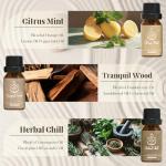 Zen Essential Oils Set for Stress Relief