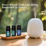 Natural Essential Oil Set for Stress Relief