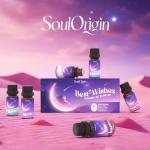 Essential Oil Blends for Relaxation and Focus