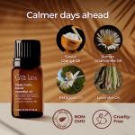 Gya Labs Deep Calm Essential Oil Blend 0.34 fl oz