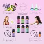 Dreamland Slumber Essential Oils Set for Diffusers