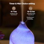 Hand Blown Glass Essential Oil Diffuser