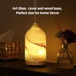 Hand Blown Glass Essential Oil Diffuser